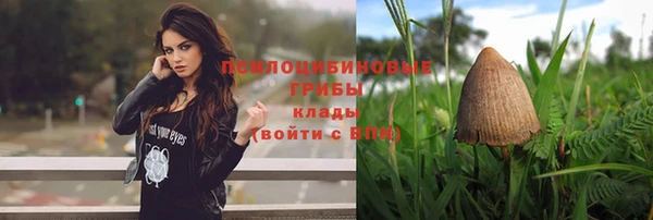 мдпв Приозерск