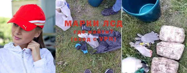 спиды Покровск